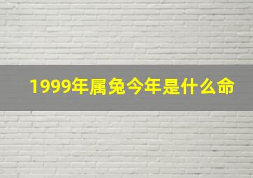 1999年属兔今年是什么命