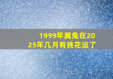 1999年属兔在2025年几月有挑花运了