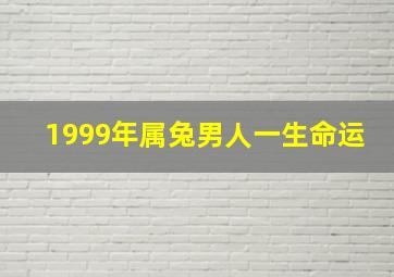 1999年属兔男人一生命运