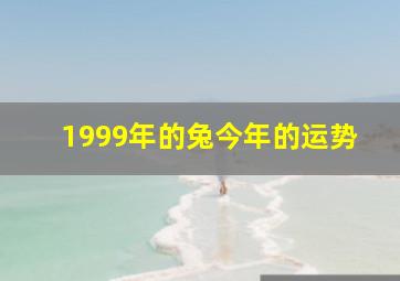 1999年的兔今年的运势