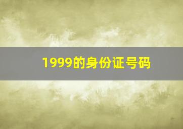 1999的身份证号码