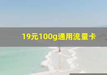 19元100g通用流量卡