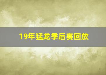 19年猛龙季后赛回放