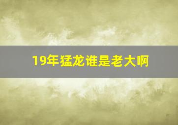 19年猛龙谁是老大啊