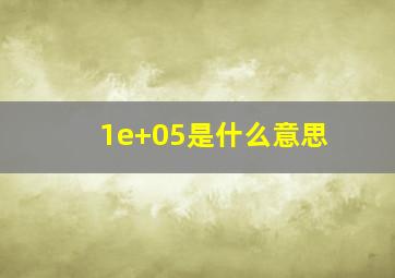 1e+05是什么意思