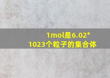 1mol是6.02*1023个粒子的集合体