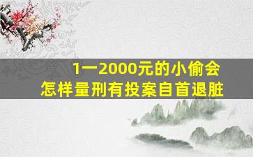 1一2000元的小偷会怎样量刑有投案自首退脏