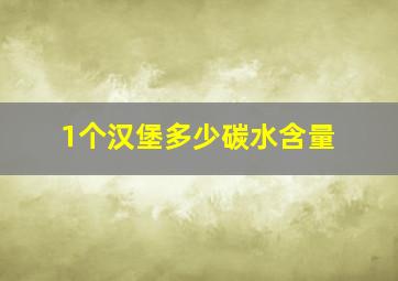 1个汉堡多少碳水含量