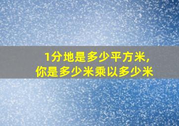 1分地是多少平方米,你是多少米乘以多少米