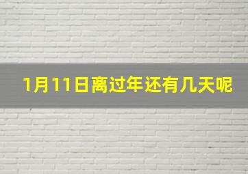 1月11日离过年还有几天呢