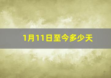 1月11日至今多少天