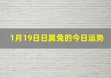 1月19日日属兔的今日运势