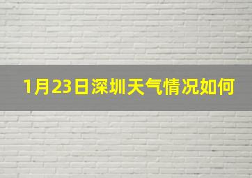 1月23日深圳天气情况如何