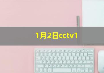 1月2日cctv1