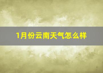 1月份云南天气怎么样