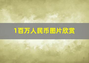 1百万人民币图片欣赏