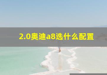 2.0奥迪a8选什么配置