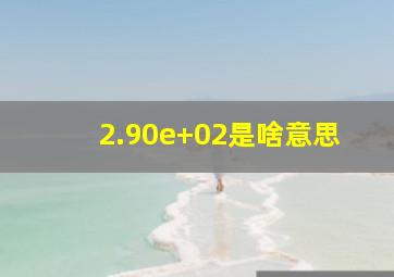 2.90e+02是啥意思