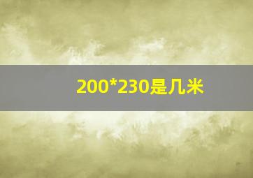 200*230是几米