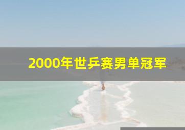 2000年世乒赛男单冠军