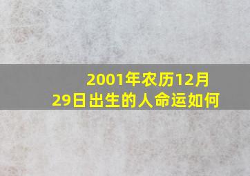 2001年农历12月29日出生的人命运如何