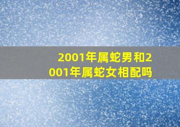 2001年属蛇男和2001年属蛇女相配吗