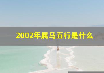 2002年属马五行是什么