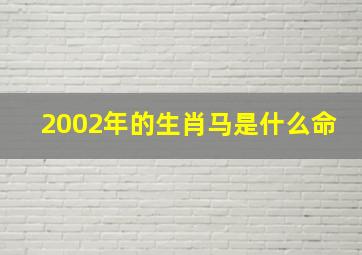 2002年的生肖马是什么命