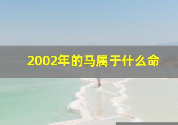 2002年的马属于什么命