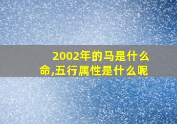 2002年的马是什么命,五行属性是什么呢