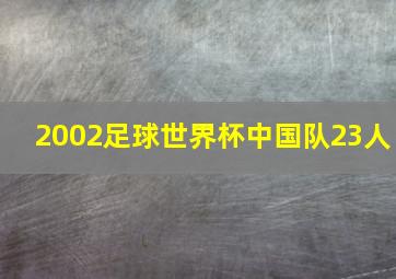 2002足球世界杯中国队23人