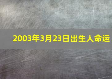 2003年3月23日出生人命运