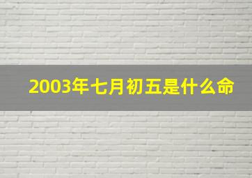 2003年七月初五是什么命