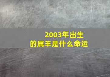 2003年出生的属羊是什么命运