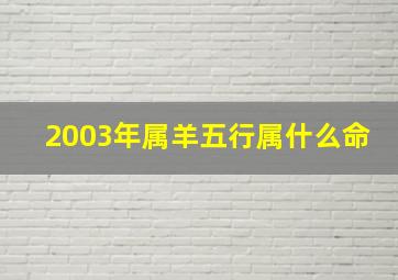 2003年属羊五行属什么命