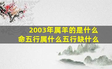 2003年属羊的是什么命五行属什么五行缺什么