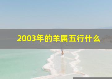 2003年的羊属五行什么