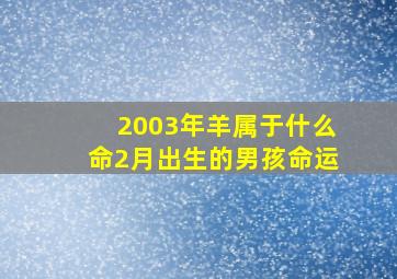 2003年羊属于什么命2月出生的男孩命运