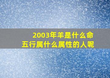 2003年羊是什么命五行属什么属性的人呢