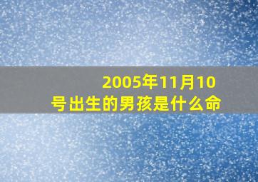 2005年11月10号出生的男孩是什么命