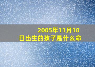 2005年11月10日出生的孩子是什么命