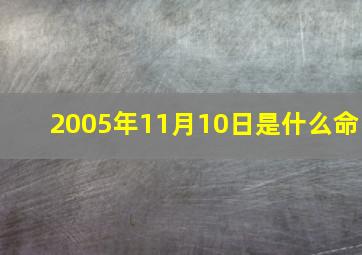 2005年11月10日是什么命