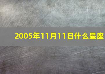 2005年11月11日什么星座