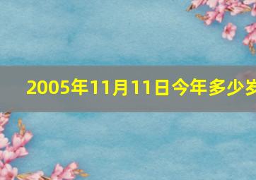 2005年11月11日今年多少岁