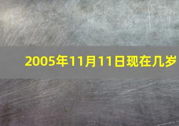 2005年11月11日现在几岁