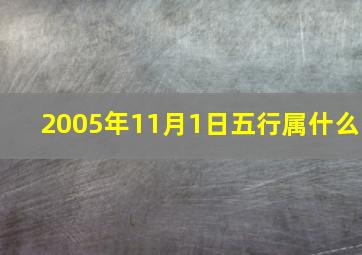 2005年11月1日五行属什么