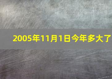 2005年11月1日今年多大了