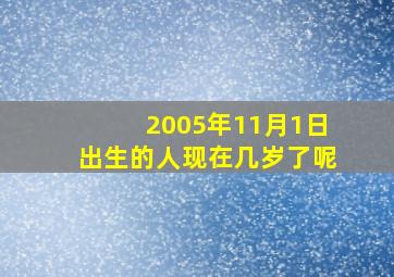 2005年11月1日出生的人现在几岁了呢