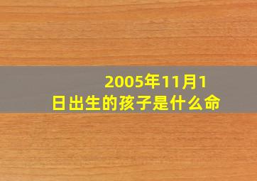 2005年11月1日出生的孩子是什么命