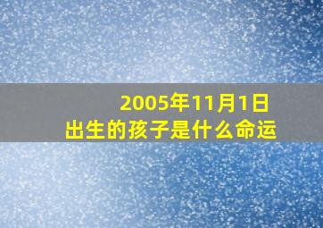 2005年11月1日出生的孩子是什么命运